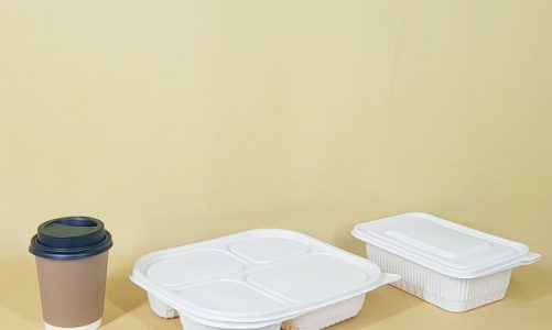 Why Choose Paper Containers for Food Packaging